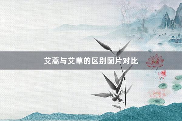 艾蒿与艾草的区别图片对比