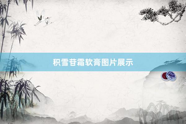积雪苷霜软膏图片展示